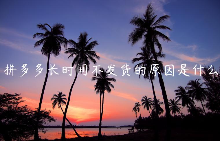 拼多多長(zhǎng)時(shí)間不發(fā)貨的原因是什么